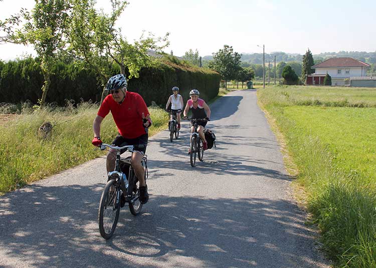 Camino de Santiago Group