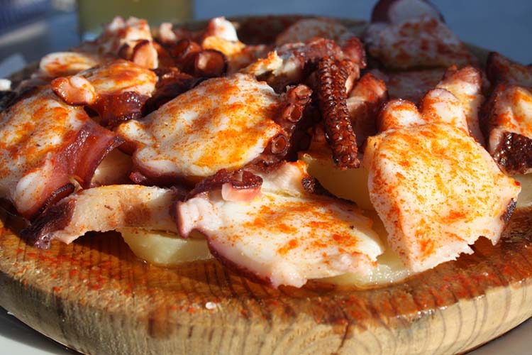 Pulpo Galicia. Camino de Santiago