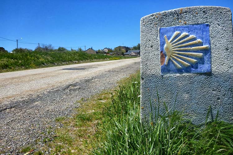 The Way. Camino de Santiago