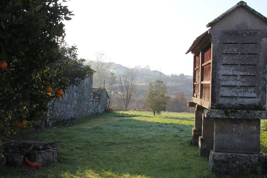 Explore Galicia on the Camino