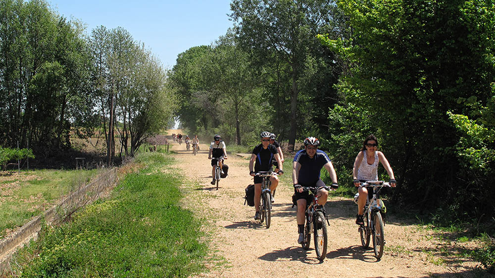 Guided Groups Camino Cycling