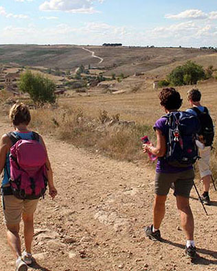 Guided groups camino walking