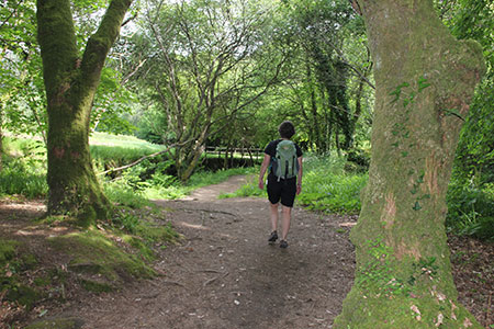 Camino guided walking from Portugal