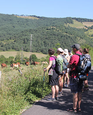 Portuguese camino guided walking group